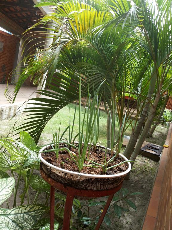 Toca Do Vaidoso Hotel บาร์เฮรินยัส ภายนอก รูปภาพ